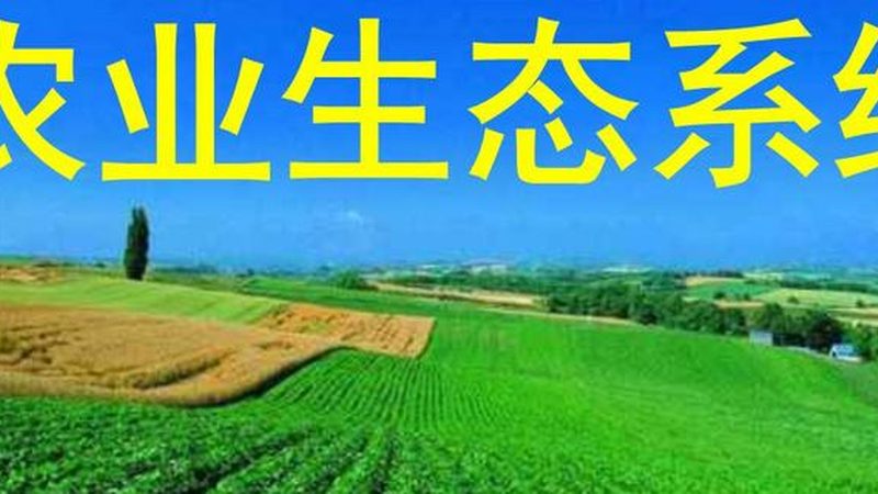 合作社注销代理公司：流程解析与注意事项