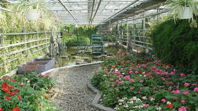 种植保险选哪家公司？关键看这三点**