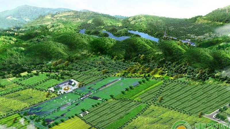 智慧农业种植系统：引领未来农业发展的十大品牌解析