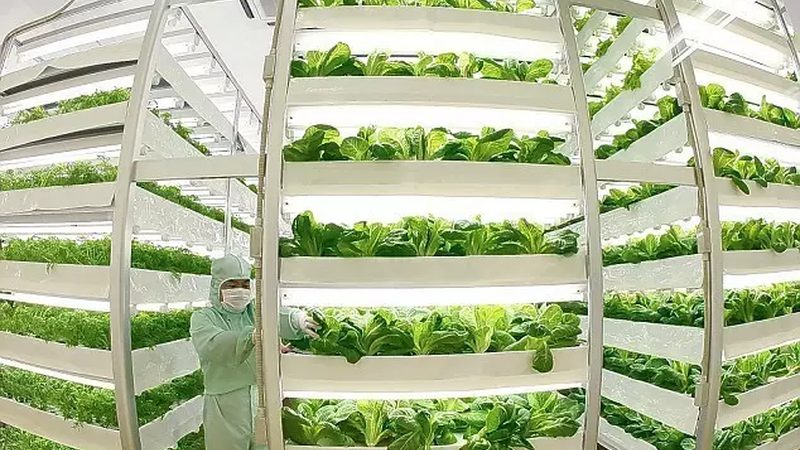 智慧农业传感器：助力精准管理，开启农业新时代