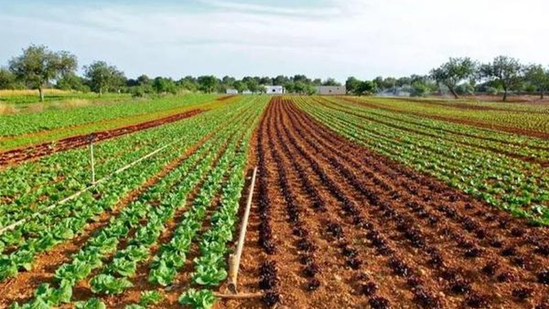 水培水果种植设备：价格与参数解析