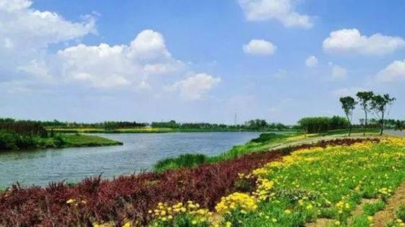 农产品配送收费标准规范：揭秘合理定价的奥秘