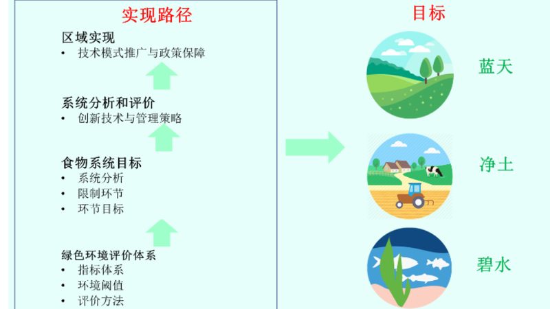 露天水果防病，有机方法有哪些？**