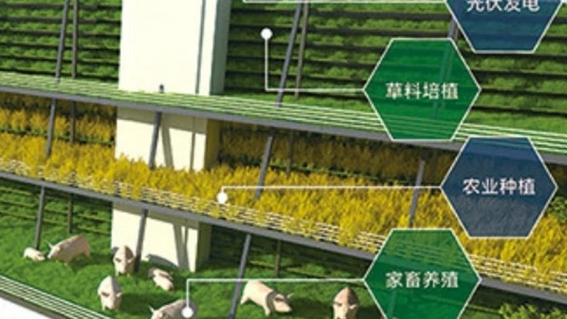 农业项目风险评估：构建科学评估体系的要点