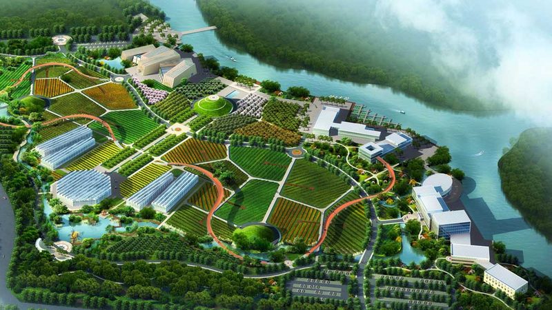 上海农业合作社内部管理制度的重要性与构建**