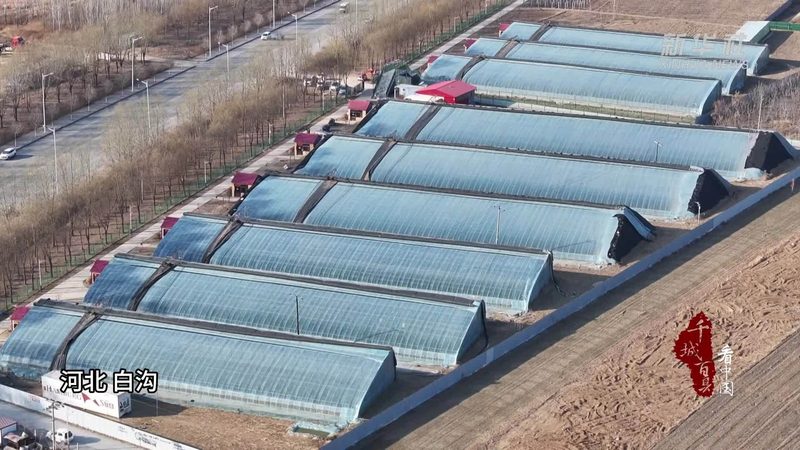 农资批发市场十大品牌排名