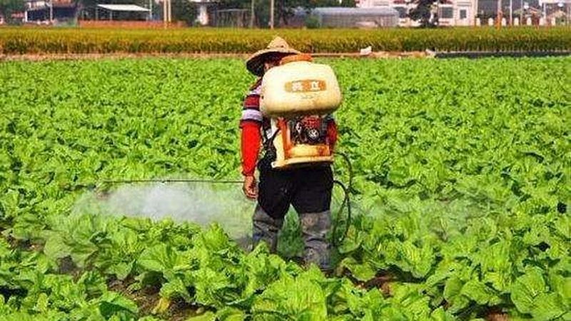 土壤调理剂主要通过以下几种方式发挥作用：